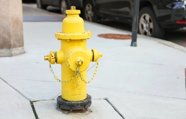 Pompa Wody Żółty Hydrant — Zdjęcie stockowe
