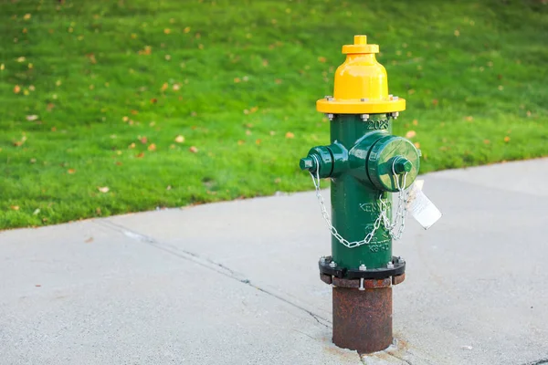 Hidrante Fogo Com Hidrante Amarelo Parque — Fotografia de Stock