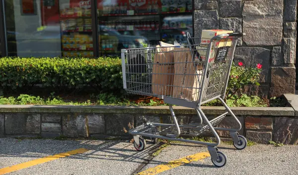 shopping cart full of groceries in the street. shopping concept