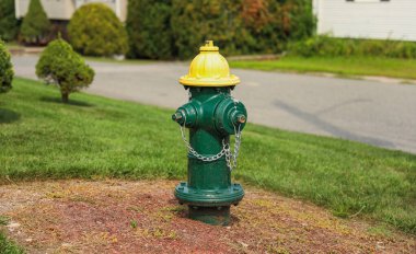Yeşil bir parkta sarı yangın musluğu