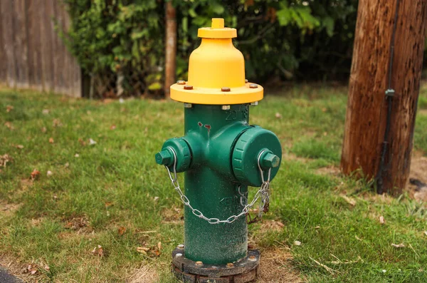 Hidrante Água Amarela Grama Verde Quintal — Fotografia de Stock