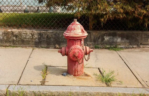 Hidrante Fogo Parque — Fotografia de Stock