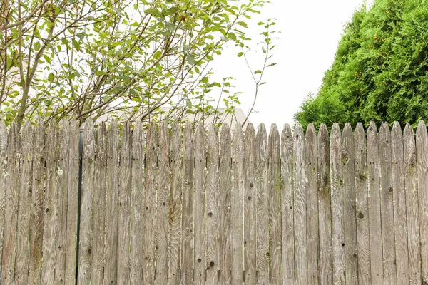茶色の木の背景が付いている塀 — ストック写真