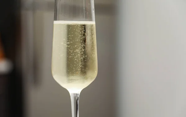 Champagne Glas Med Vitt Vin — Stockfoto