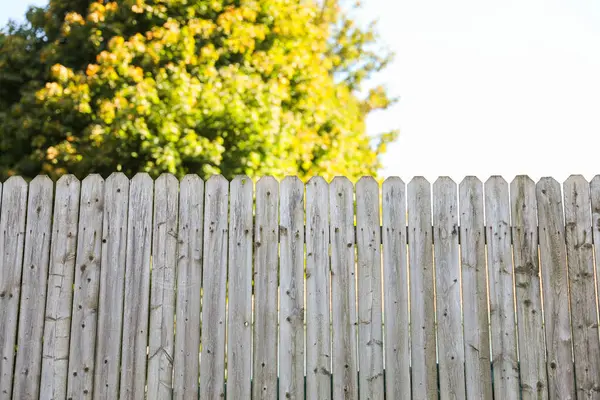 緑の葉を持つ古い木製の柵 — ストック写真