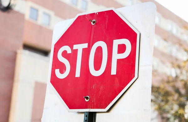Stop Tábla Úton — Stock Fotó