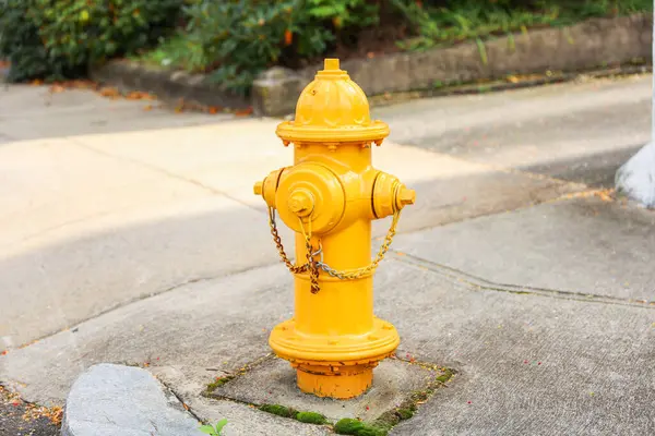 yellow fire hydrant with a hydrant