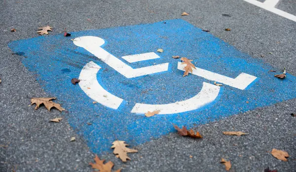 Disabled Person Wheelchair Park Sunny Day Stock Picture