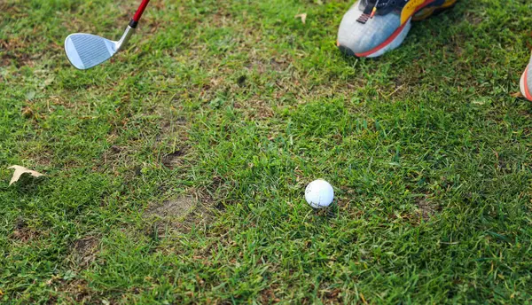 Golf Ball Tee Green Grass Course — Stock Photo, Image