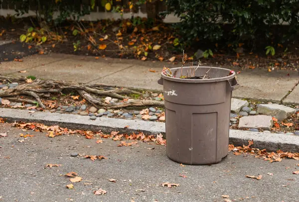 trash can on a street in autumn