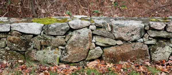 stone wall with moss in the garden