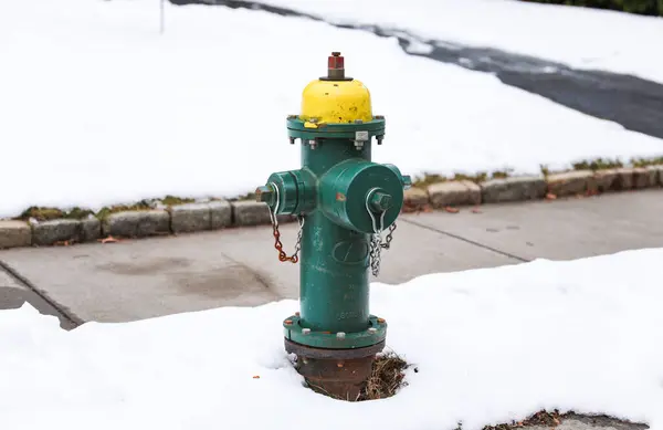 fire hydrant in the snow in the park