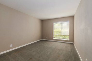 Boş oda, halısı ve penceresinde yeşil manzarası var. İç dizayn. 3d oluşturma