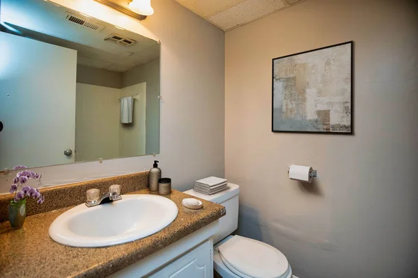 带有大镜子的现代化浴室的内部 3D渲染设计 — 图库照片