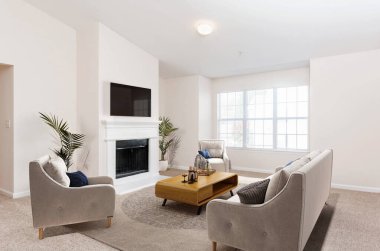 Kanepesi ve şöminesi olan modern oturma odasının içinde.