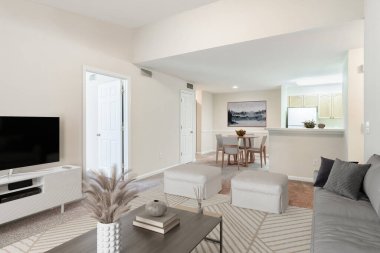 Rahat kanepesi olan modern apartman dairesi. 