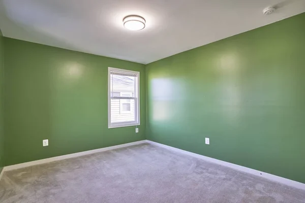 床に緑の壁やカーペットと空のリビングルームのインテリアデザイン 3Dレンダリング — ストック写真