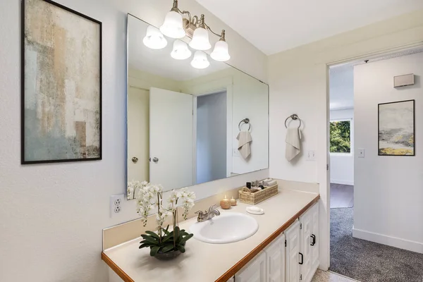 Interior Modern Bathroom Large Mirror — Stockfoto