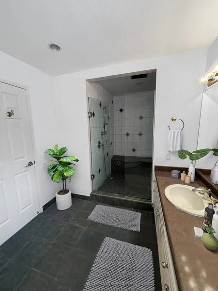 Modern Bathroom Interior Rendering Image — Stock Photo, Image