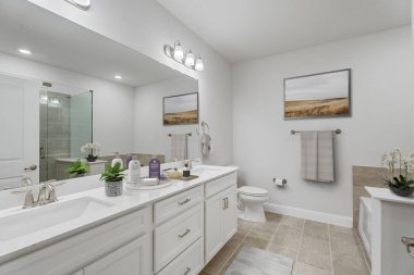 modern banyo iç tasarımı, 3D görüntüleme