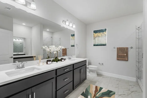 modern banyo iç tasarımı, 3D görüntüleme