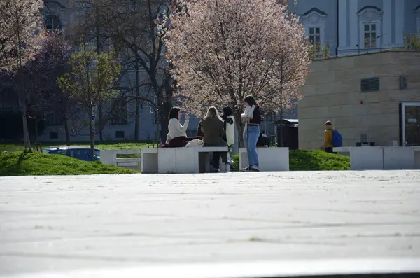 Parktaki bir grup insan.