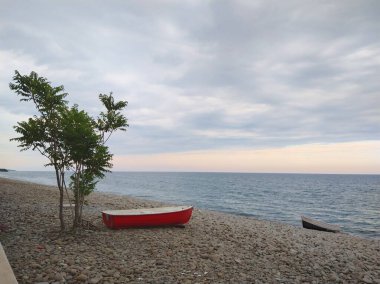 Ağacı ve mavi gökyüzü olan güzel bir manzara.