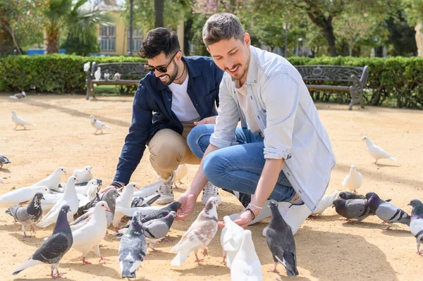 快乐的年轻男性朋友们身着休闲装 一边微笑着 一边喂着可爱的鸽子 一边在公园里阳光灿烂的沙滩上共度时光 — 图库照片