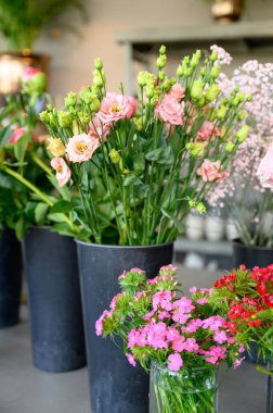 Fragrant blooming bunch of fresh colorful flowers in plastic pots and glass vase placed on plain surface outdoors in daylight