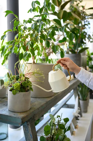 Crop Anonymous Florist Using Kettle Watering Potted Plants Flower Garden — Stockfoto