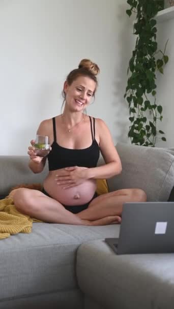 Kanepede Dizüstü Bilgisayarıyla Oturan Mutlu Genç Hamile Bir Kadın Göbeğinin — Stok video