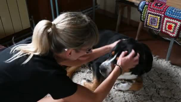 Uhdtv Filmagem Cão Fêmea Proprietário Carícia Acariciando Seu Animal Estimação — Vídeo de Stock