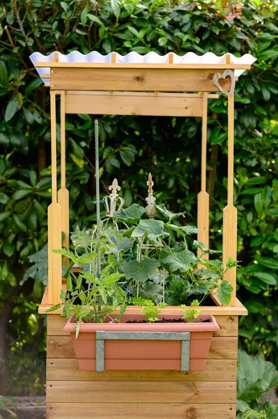 Hochbeet Für Den Anbau Von Frischem Gemüse Und Kräutern Garten — Stockfoto