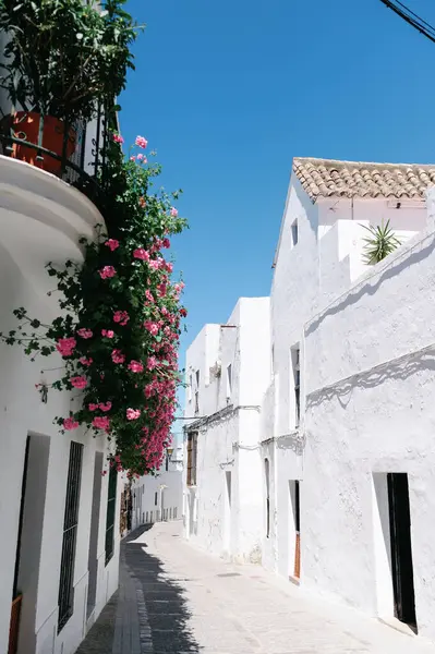 Pionowe Zdjęcie Budynków White Washed Ulica Andaluzyjskiej Wioski Vejer Frontera — Zdjęcie stockowe