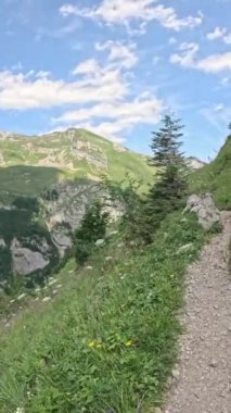 İsviçre 'nin Appenzell şehrinde güneşli bir günde İsviçre Alplerindeki dağ zirvesinin panoramik görüntüsü. Yaban çiçekleri, çayırlar, gökyüzü ve güzel manzaralar arasındaki patikada yürüyüş yapmak. spor konsepti