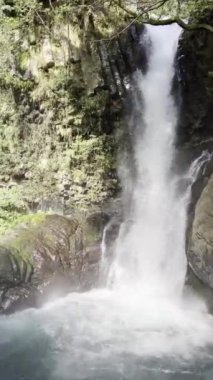 Turist, güneşli bir günde Izu Yarımadası 'nın en güzel yedi şelalesini ziyaret ediyor. seyahat kavramı