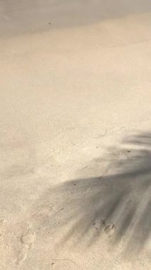 Hafif dalgalar beyaz kumlu arazide süzülürken palmiye ağaçları güneş ışığında dans ederken güney Tayland ve kıyı kesimlerindeki sakin tropikal deniz manzarasını betimliyor. tatil kavramı