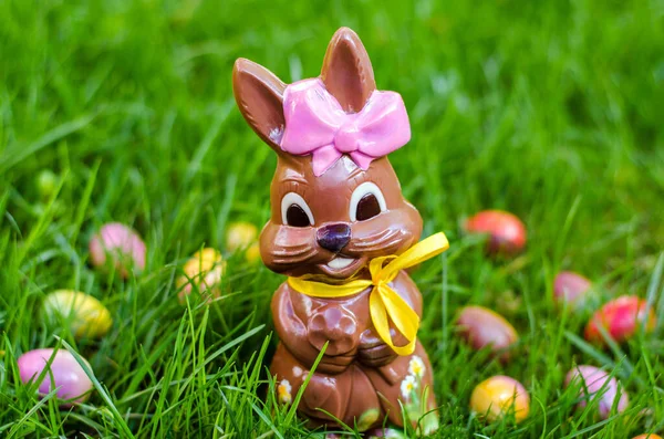 Çikolatalı tavşancık yeşil çimenlikte çikolatalı yumurta çemberinde