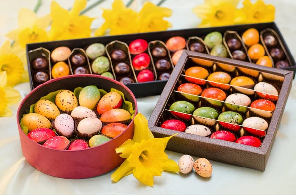 Schokoladeneier Und Narzissen — Stockfoto