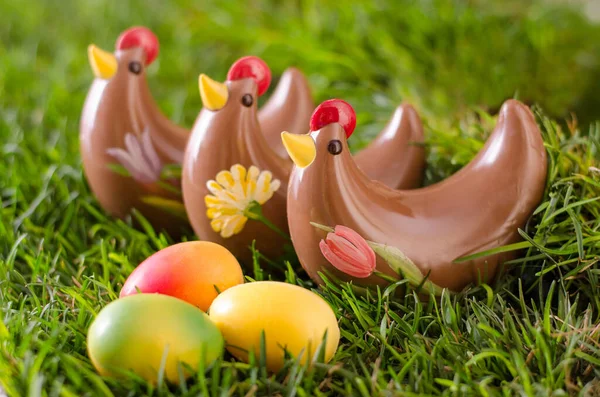 Yeşil çimenlerin üzerinde çikolatalı yumurtalı üç tavuk.