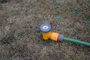 Bahçe hortumunun fıskiyesinin kapağı kuru ve sağlıksız çimenlerin üzerinde kullanılmadan duruyor. İngiltere kuraklığı, hortum yasağı.