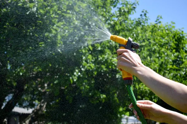 Hosepipe Spraying Water Summer Day Apple Tree Background — Stock Photo, Image