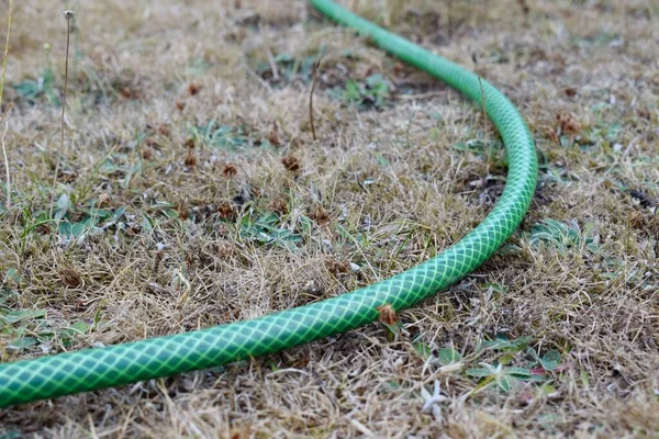 Kuru çimenlerin üzerinde uzanan bahçe hortumunu kapat. İngiltere 'de kuraklık - hortum yasağı.