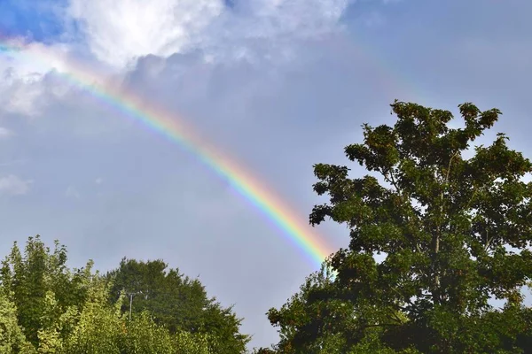 Lebendiger Regenbogen Hinter Sattgrünen Bäumen Einem Sonnigen Tag Hintergrund Wolken — Stockfoto