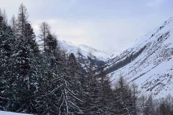 Karlı Tztal Vadisi 'nin güzel manzarası, Tyrol, Avusturya kışın en yoğun kayak sezonunda. Hochgurgl kayak merkezinden çekilmiş..