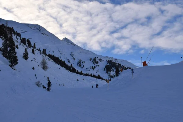 Mann Wandert Mit Zwei Border Collie Hunden Auf Schneebedecktem Berg — Stockfoto