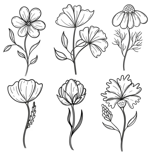 Düz bir şekilde siyah bir çizgi çizilmiş altı renkli bir set. Botanik boyama seti. Ayrı çiçek nesneleri.  