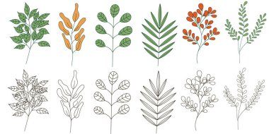 Çiçekçi Seti. Beyaz arka planda renkli dalların ve siluetlerinin toplanması. Kartlar, davetiyeler, posterler, posterler, arkaplanlar için tasarım ögesi.