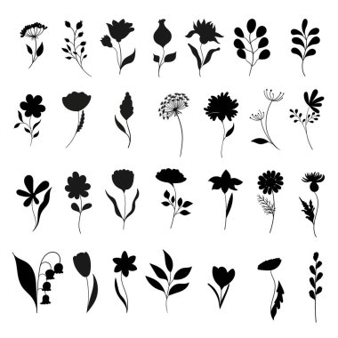 Minimalist tarzda çiçek ve dallar, el çizimi. Bitkilerin vektör silueti. Çiçekli fırçalar. 