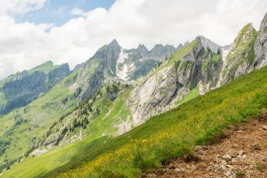 Önünde yaban çiçekleri olan Alpstein dağları ve arka planında keskin kaya zirveleri olan dağlık bir çayır. İsviçre Alpleri 'nde güzel bir yürüyüş yeri. Harika bir seyahat yeri. Boşluğu kopyala.